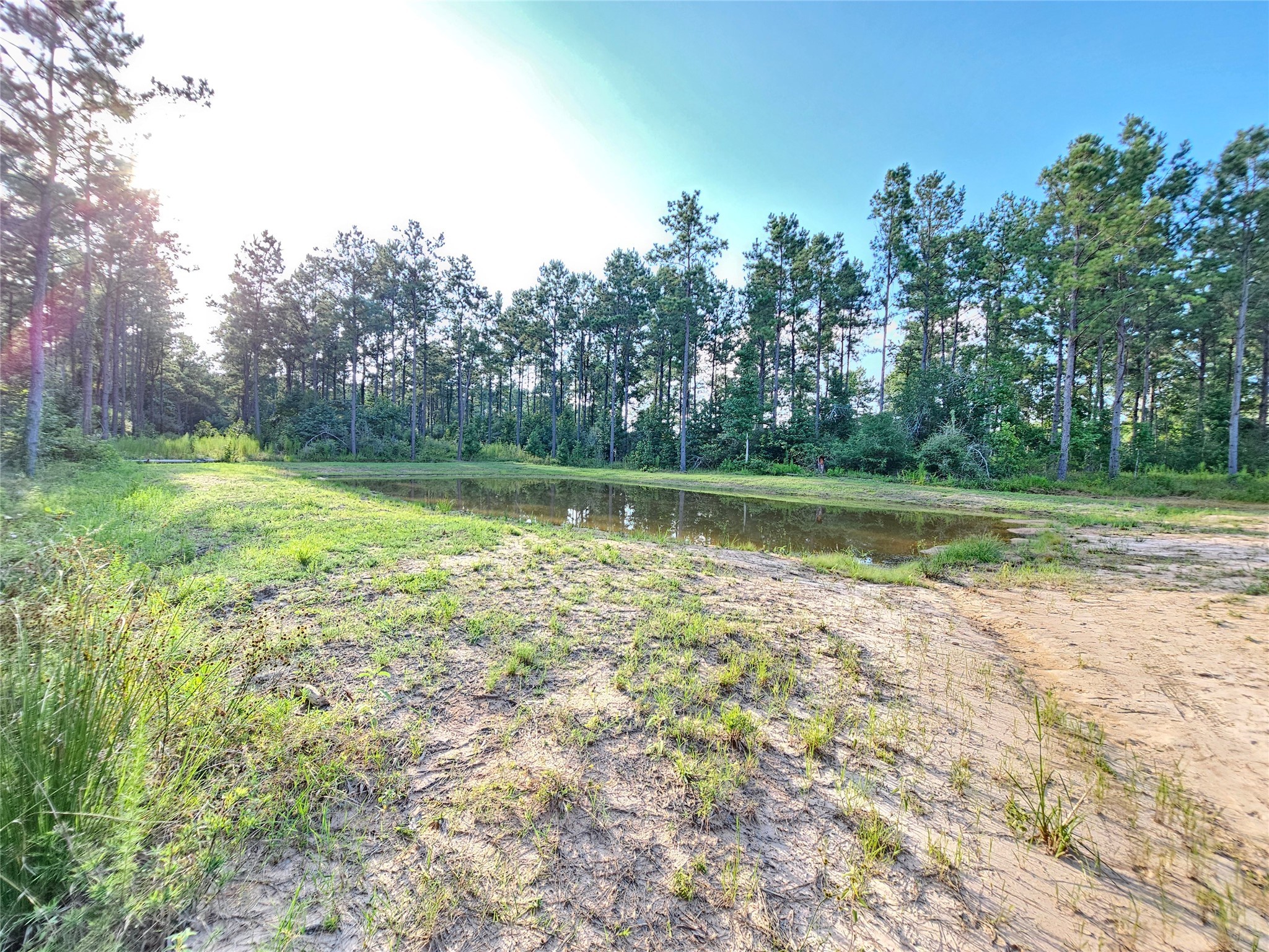 769 Tullos Loop Livingston, TX 77351 - Photo 8 of 23 a view of a lake view