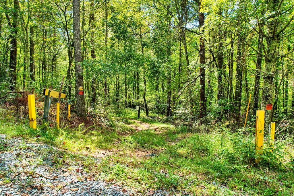 684 Old Miller Rock Road Ellijay, GA 30540 - Photo 1 of 38 Main View