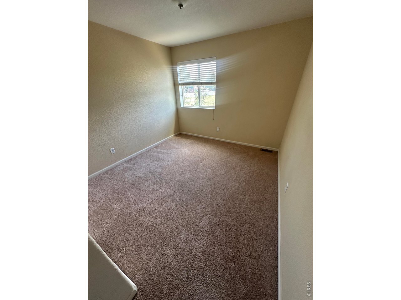 4698 Andes Way Denver, CO 80249 - Photo 19 of 20