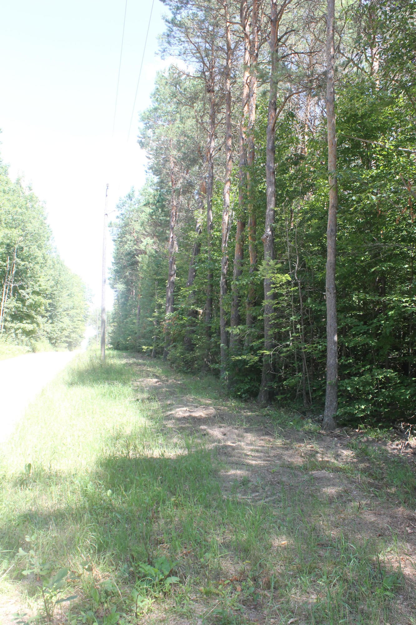 0 Sherman Road Grayling, MI 49738 - Photo 5 of 6 Gallery Image 5