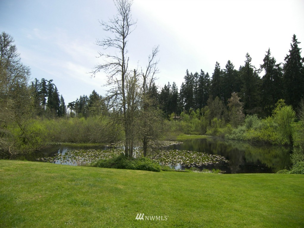 1104-1106 Military Road South Spanaway, WA 98387 - Photo 2 of 2 a view of a green field with trees