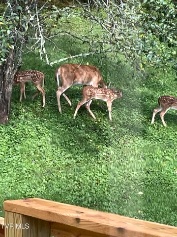 $450,000 | 5191 Highway 421, Mountain City, TN 37683