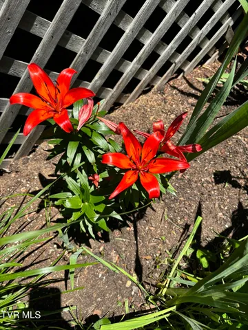 $450,000 | 5191 Highway 421, Mountain City, TN 37683