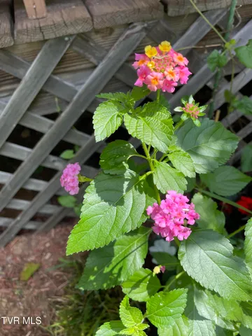 $450,000 | 5191 Highway 421, Mountain City, TN 37683