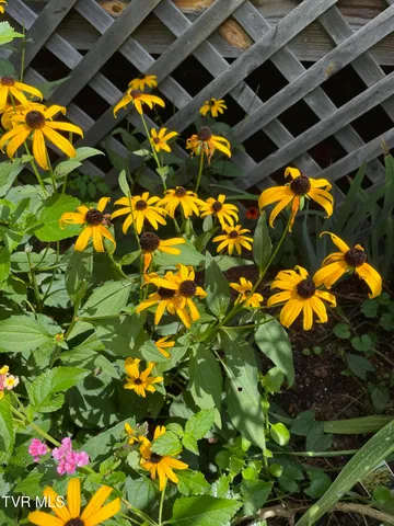 $450,000 | 5191 Highway 421, Mountain City, TN 37683