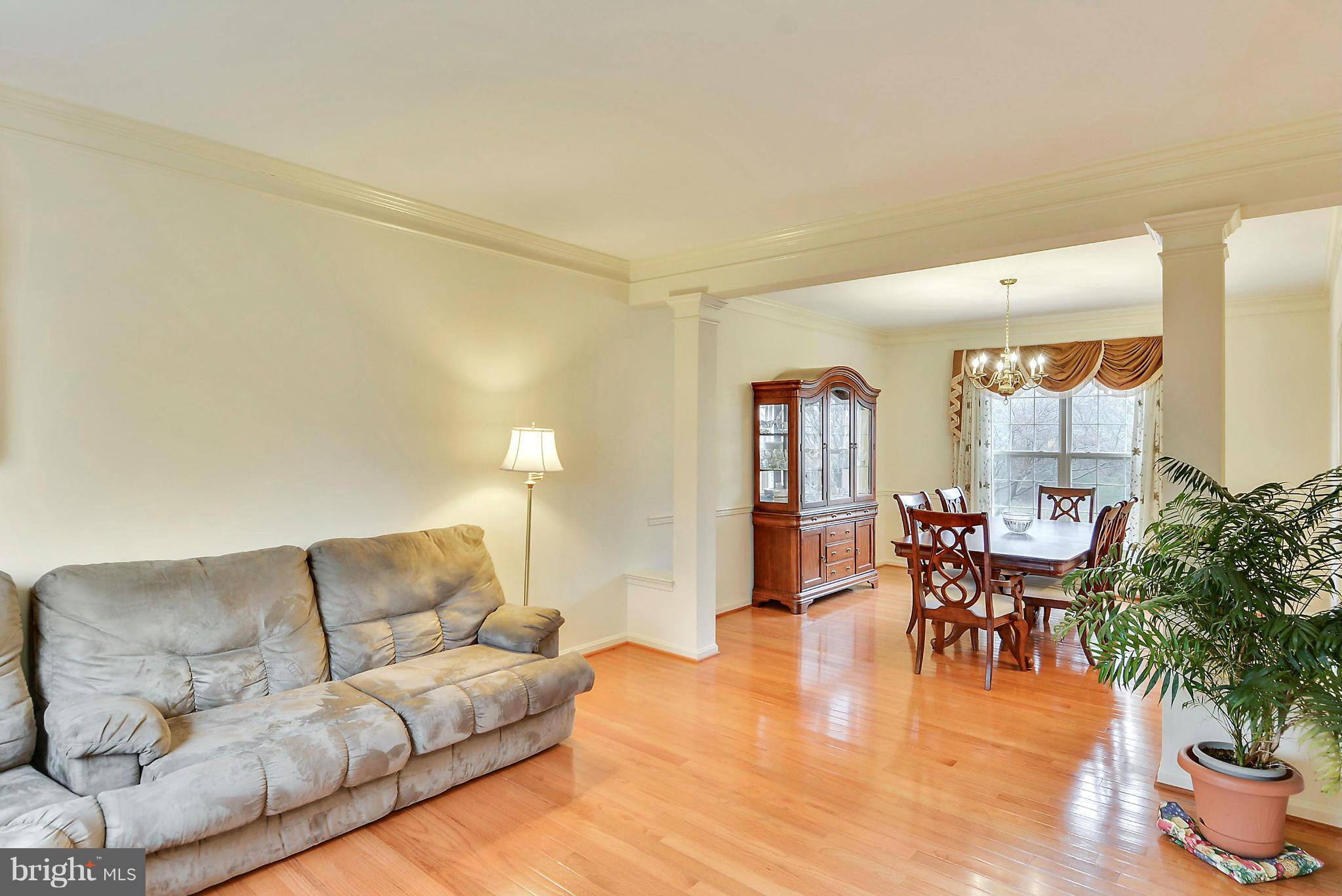 17904 Coachmans Road Germantown, MD 20874 - Photo 5 of 30 Formal Living Room with Columns
