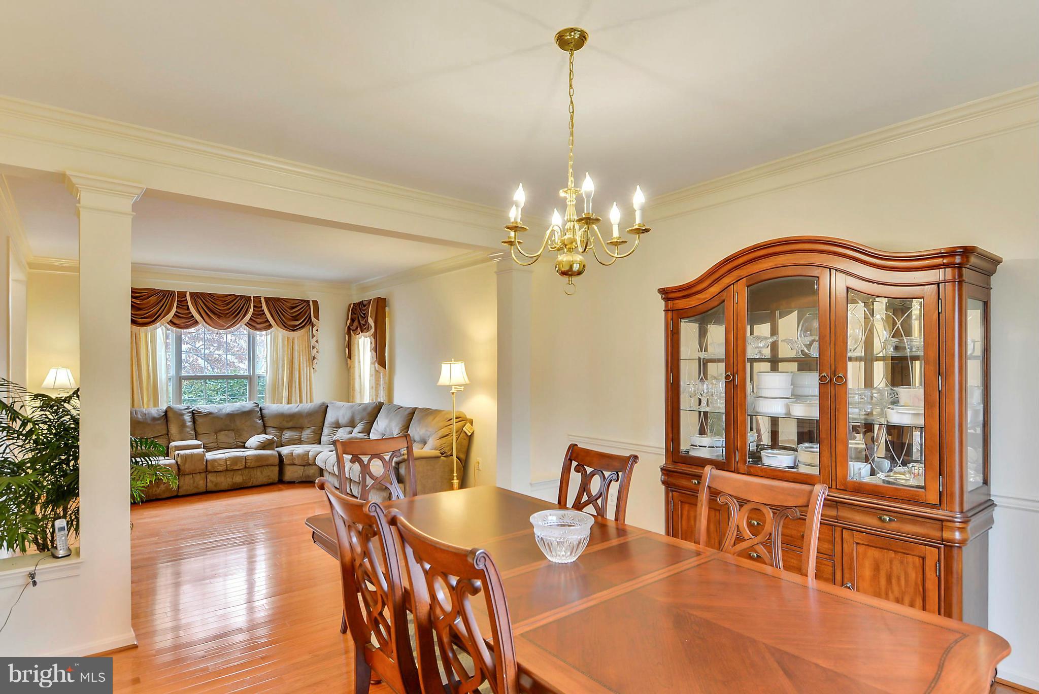 17904 Coachmans Road Germantown, MD 20874 - Photo 8 of 30 Looking into Living Room