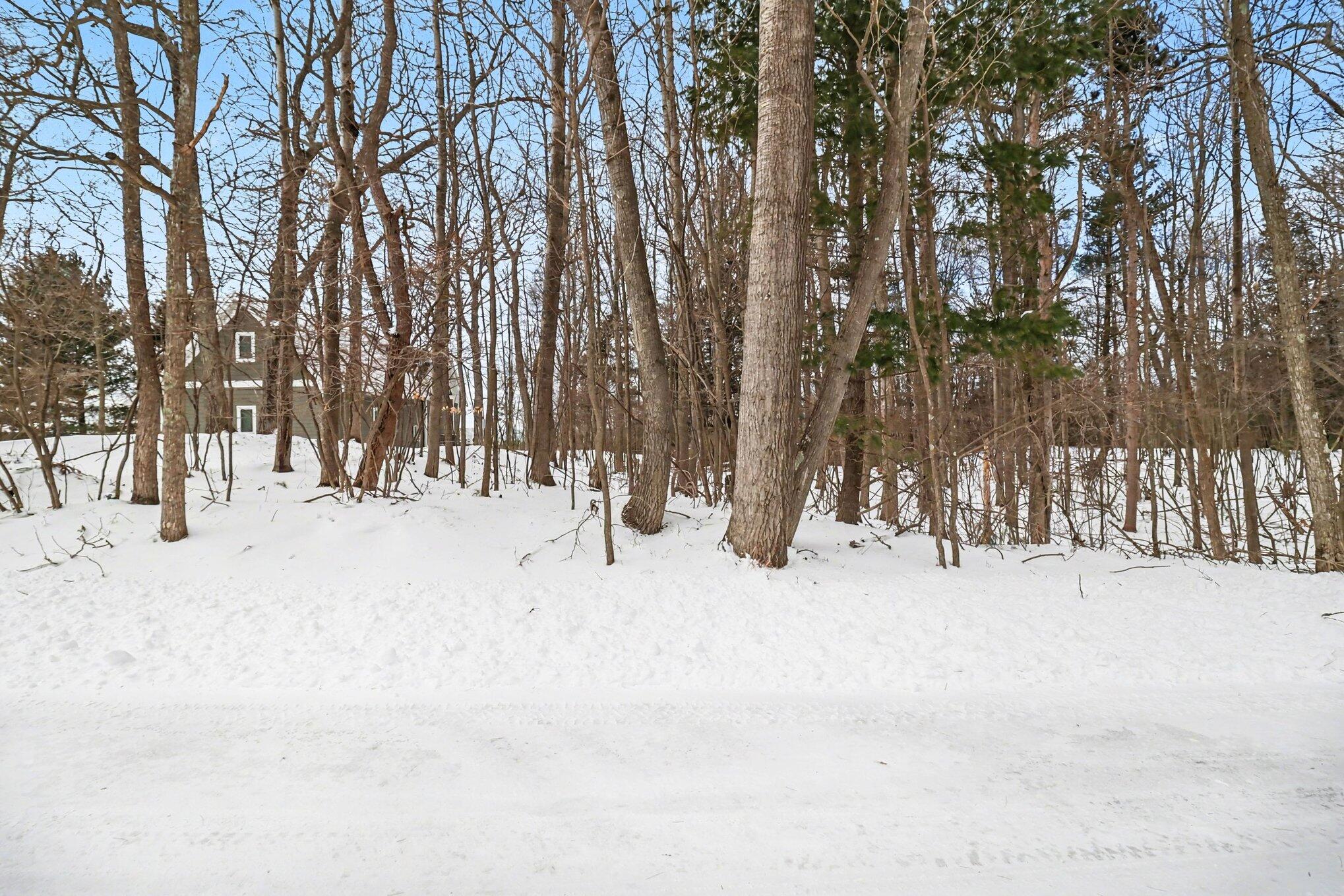 Lot 11 North Silver Ridge Road Mears, MI 49436 - Photo 17 of 25 011_5r6a1764_591