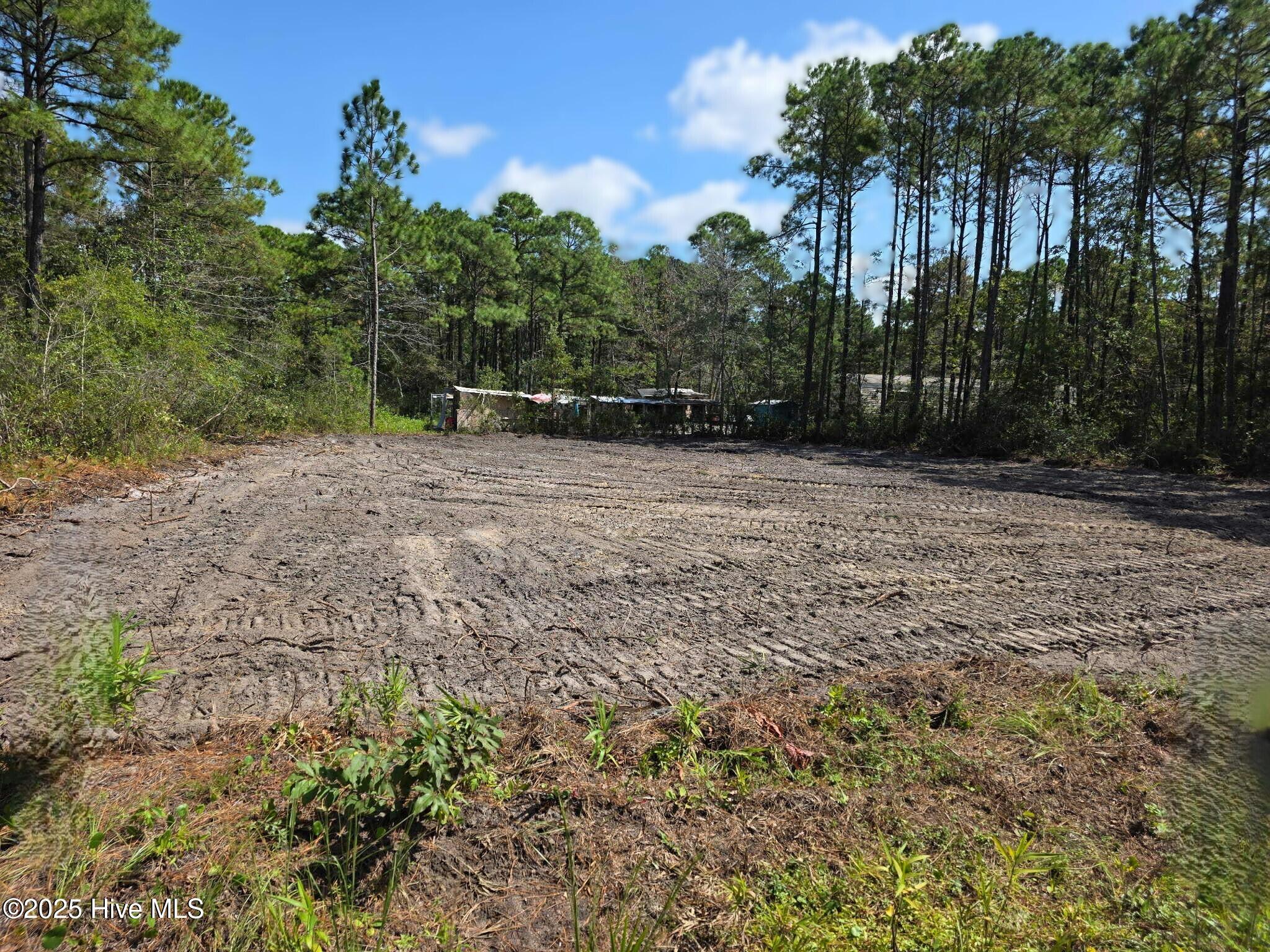 1224 Gray Bridge Road Southwest Shallotte, NC 28470 - Photo 1 of 1 1224 Gray Bridge Rd