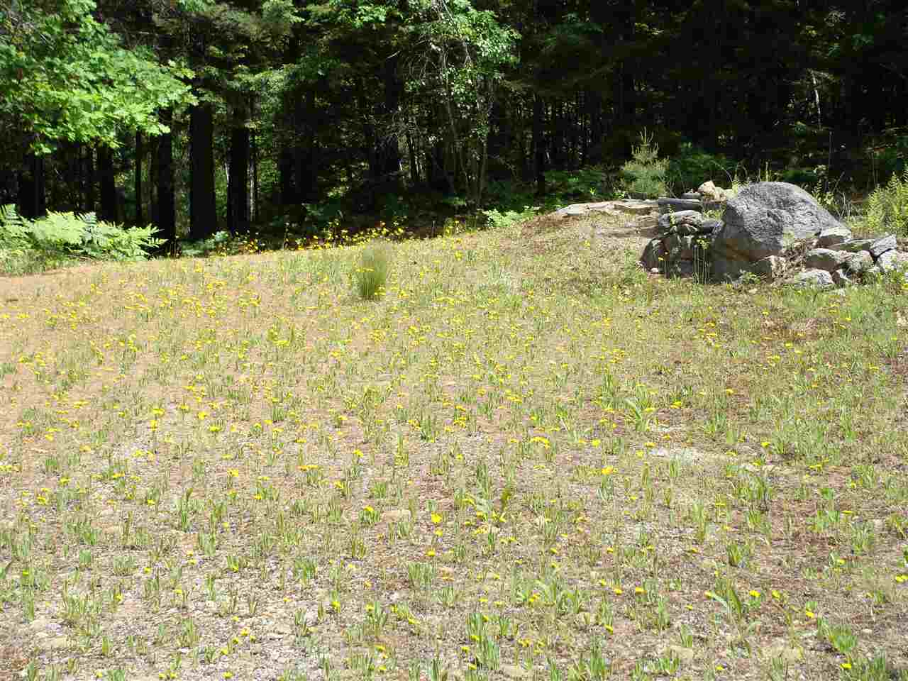130 Beaver Ridge Road Barnstead, NH 03225 - Photo 2 of 8