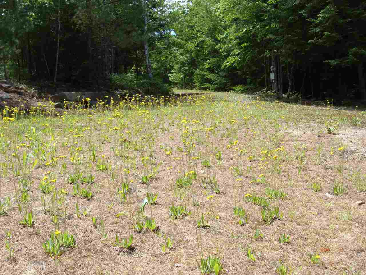130 Beaver Ridge Road Barnstead, NH 03225 - Photo 5 of 8