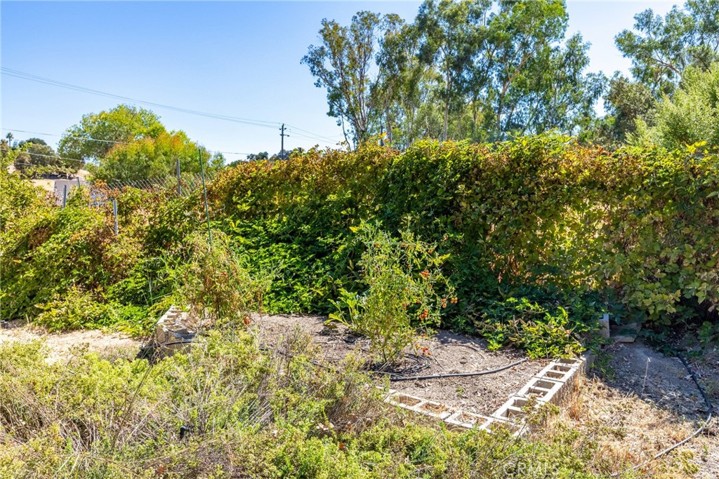 7990 San Gabriel Road Atascadero, CA 93422 - Photo 57 of 69 a backyard of a house with lots of green space