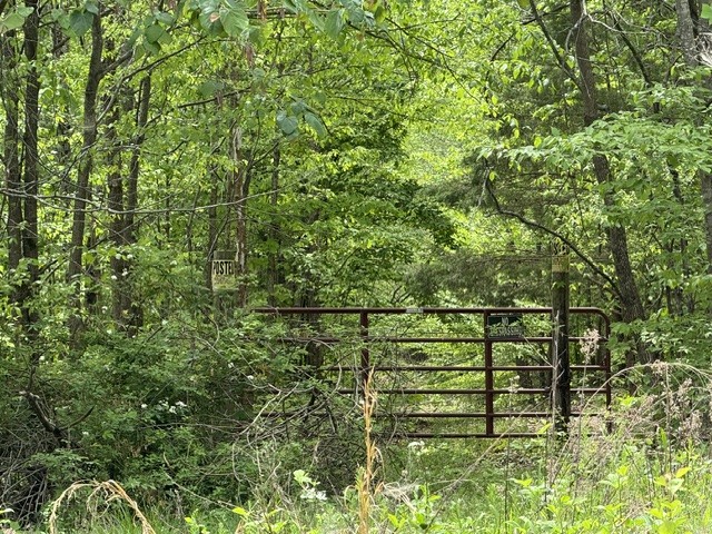 637 Hargis Road Bumpus Mills, TN 37028 - Photo 3 of 17