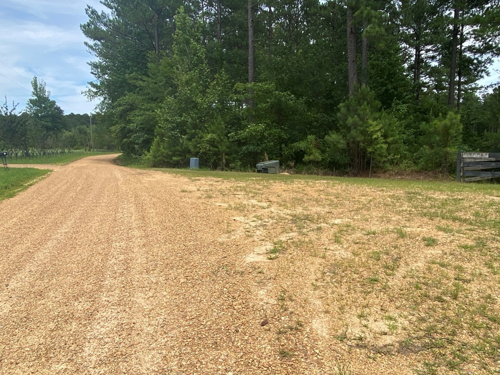 Tbd Texas Eastern Road Union Church, MS 39668 - Photo 3 of 6 Photo 3