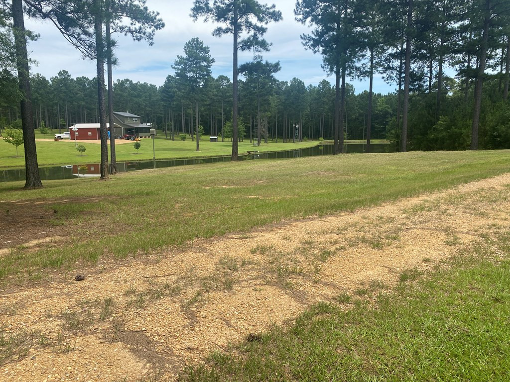 Tbd Texas Eastern Road Union Church, MS 39668 - Photo 5 of 6 Photo 5