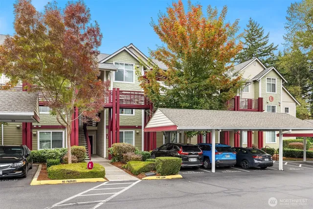 a view of a town with large trees and cars parked in front of it