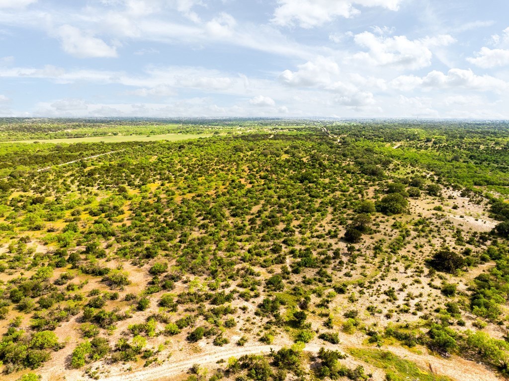 12757 State Highway Hext, TX 76848 - Photo 41 of 70 a view of an aerial view of residential houses with outdoor space and trees