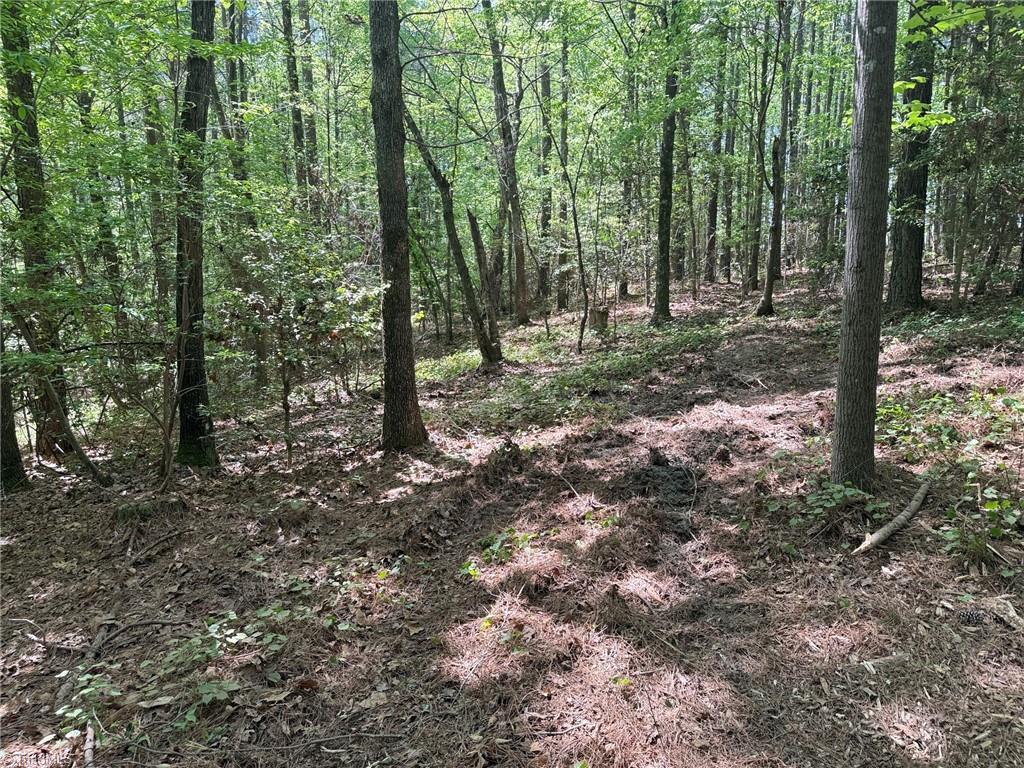 Lot 5 Woods Road Seagrove, NC 27341 - Photo 7 of 9