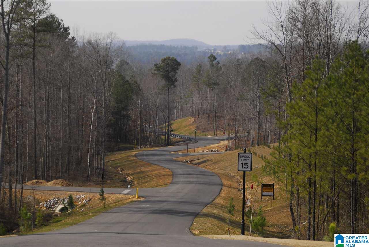 924 Blue Ridge Way Odenville, AL 35120 - Photo 48 of 50