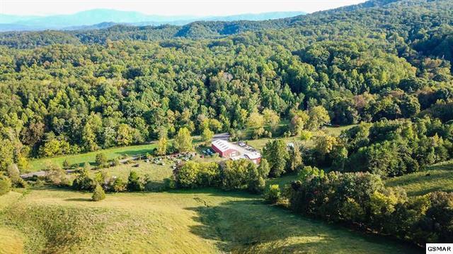 726 Bates Gibson Road Sevierville, TN 37876 - Photo 4 of 24 230453-2