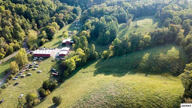 726 Bates Gibson Road Sevierville, TN 37876 - Photo 8 of 24 230453-4