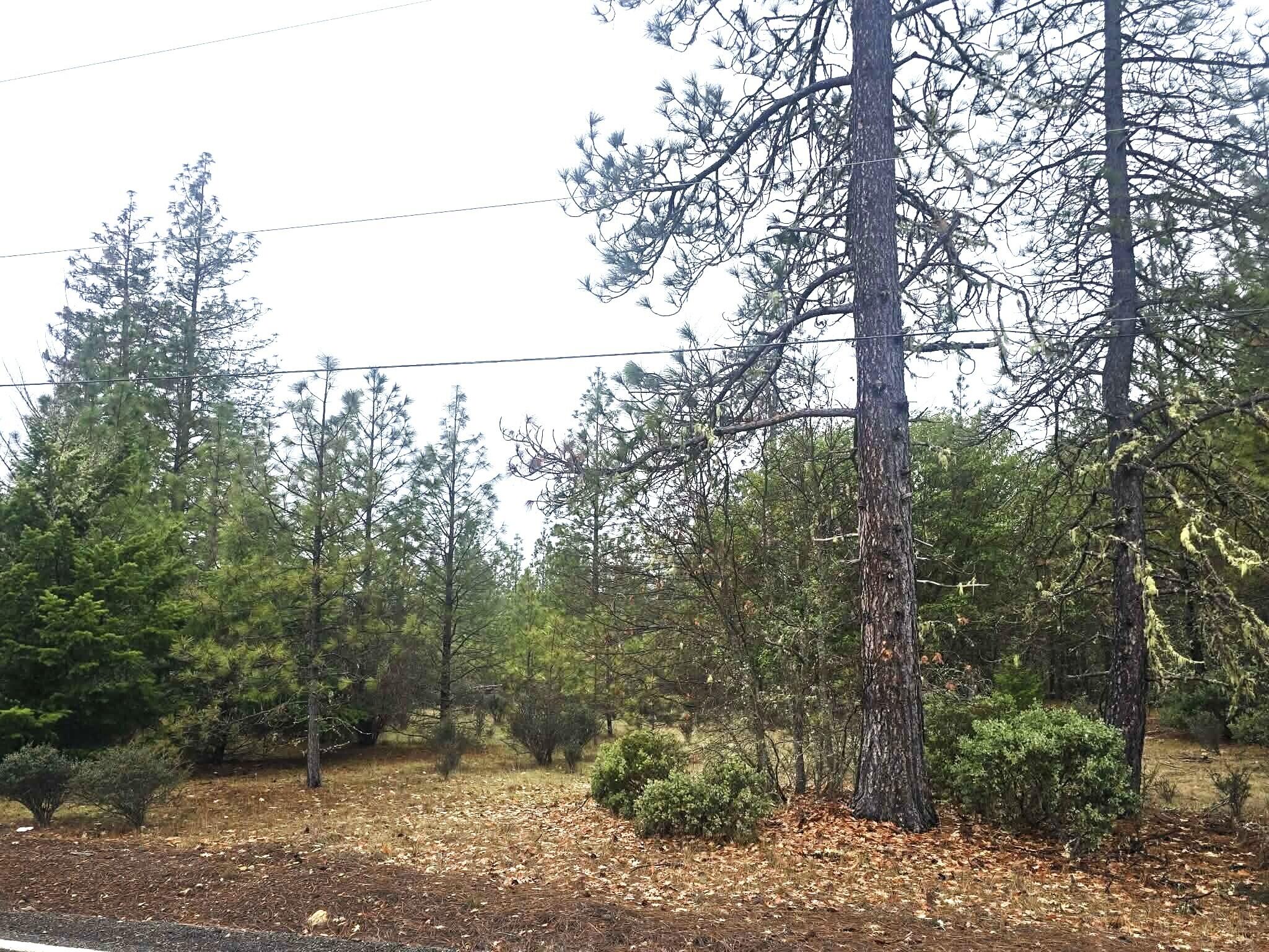 5322 Rockydale Road Cave Junction, OR 97523 - Photo 3 of 3 5322 2