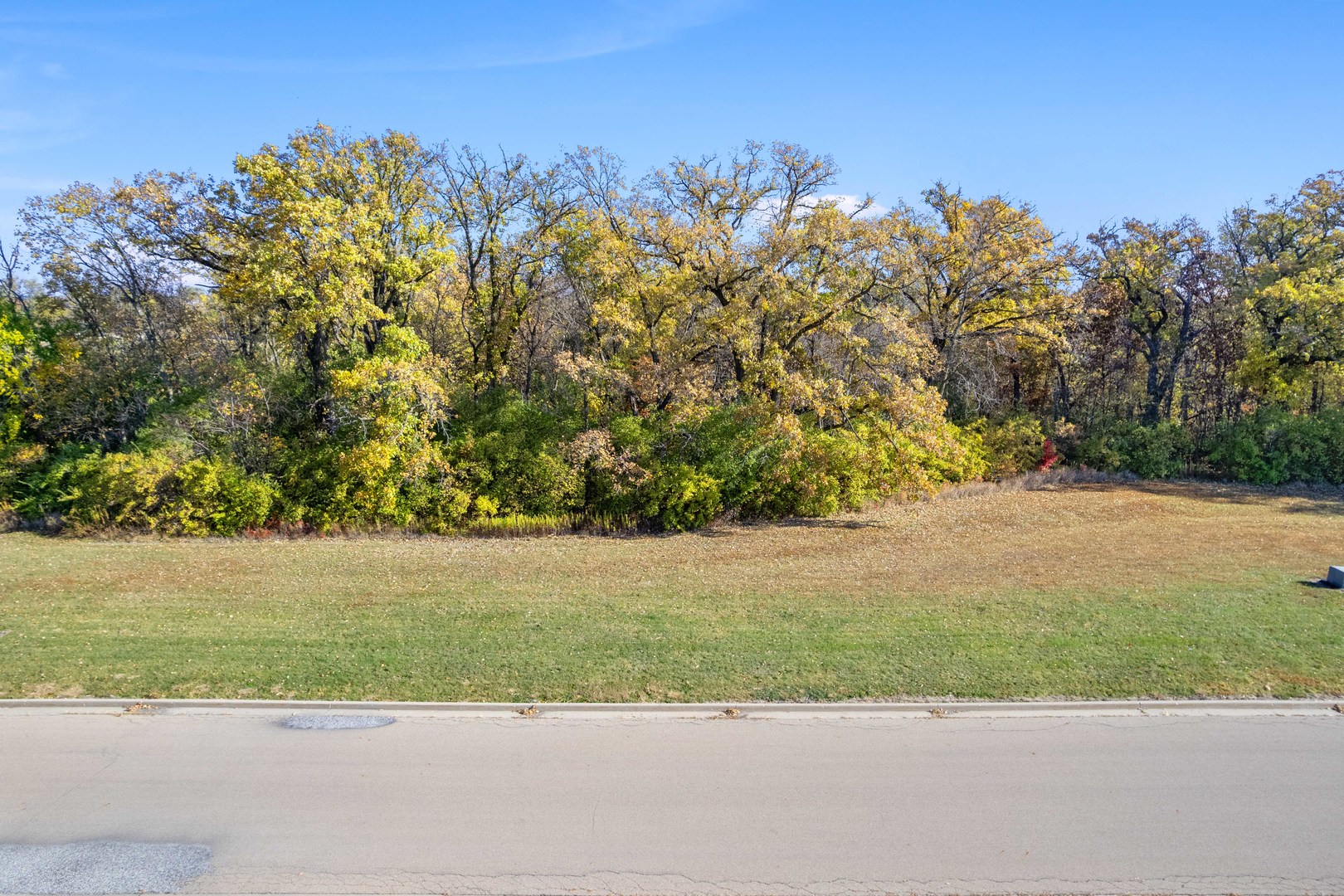 2974 East 1489th Road Ottawa, IL 61350 - Photo 13 of 18 a view of a yard with a tree
