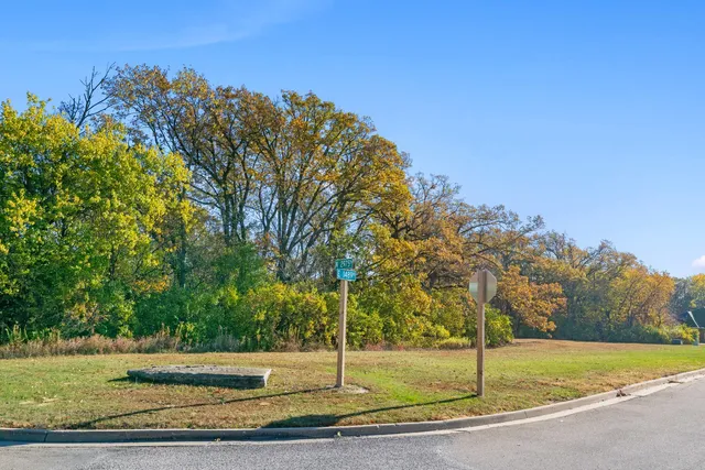 a view of yard with large trees