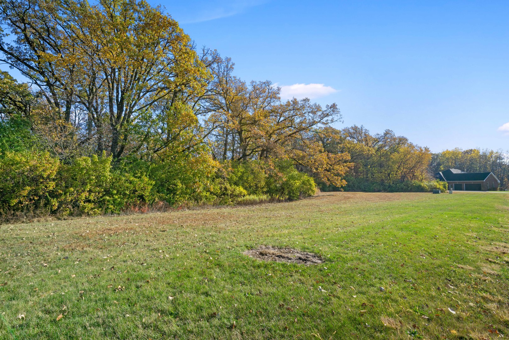 2974 East 1489th Road Ottawa, IL 61350 - Photo 16 of 18 a view of yard with large trees