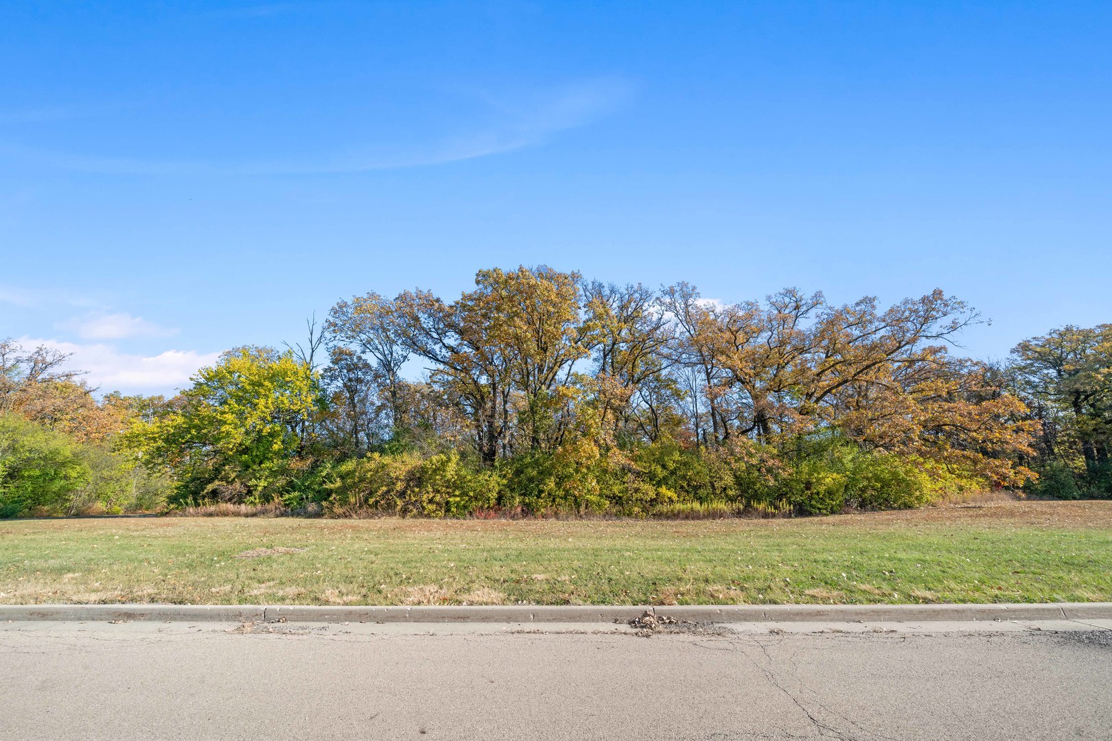2974 East 1489th Road Ottawa, IL 61350 - Photo 17 of 18 a view of a yard with a trees