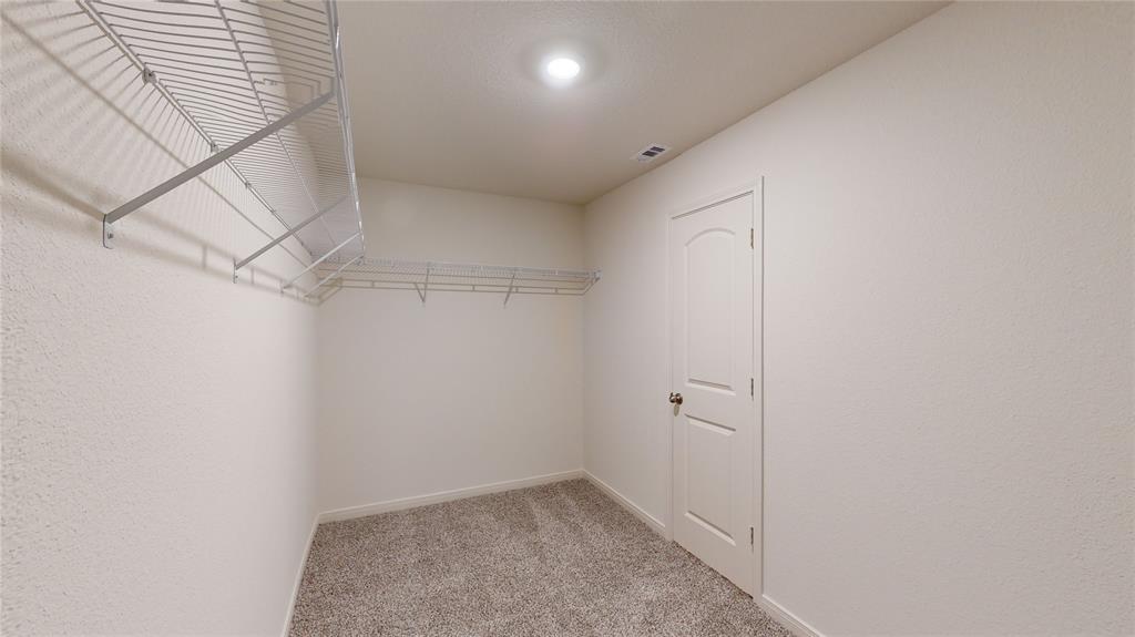 8012 White Sulphur Road Ponder, TX 76259 - Photo 33 of 39 Walk in closet featuring light colored carpet