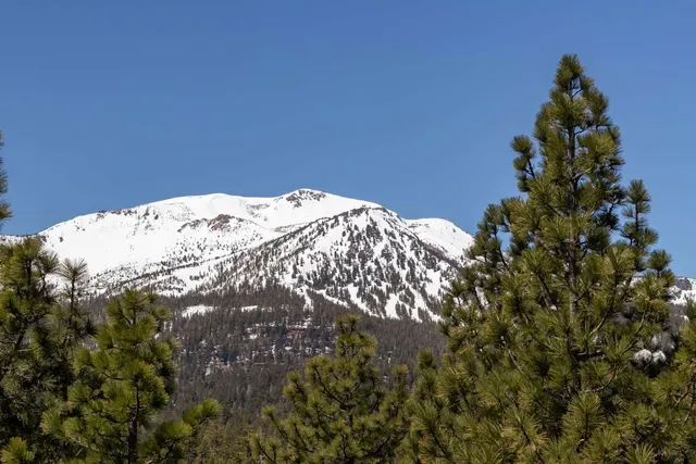 a view of a big yard