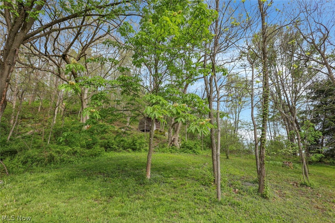 6879 Beard Price Road Glouster, OH 45732 - Photo 29 of 50