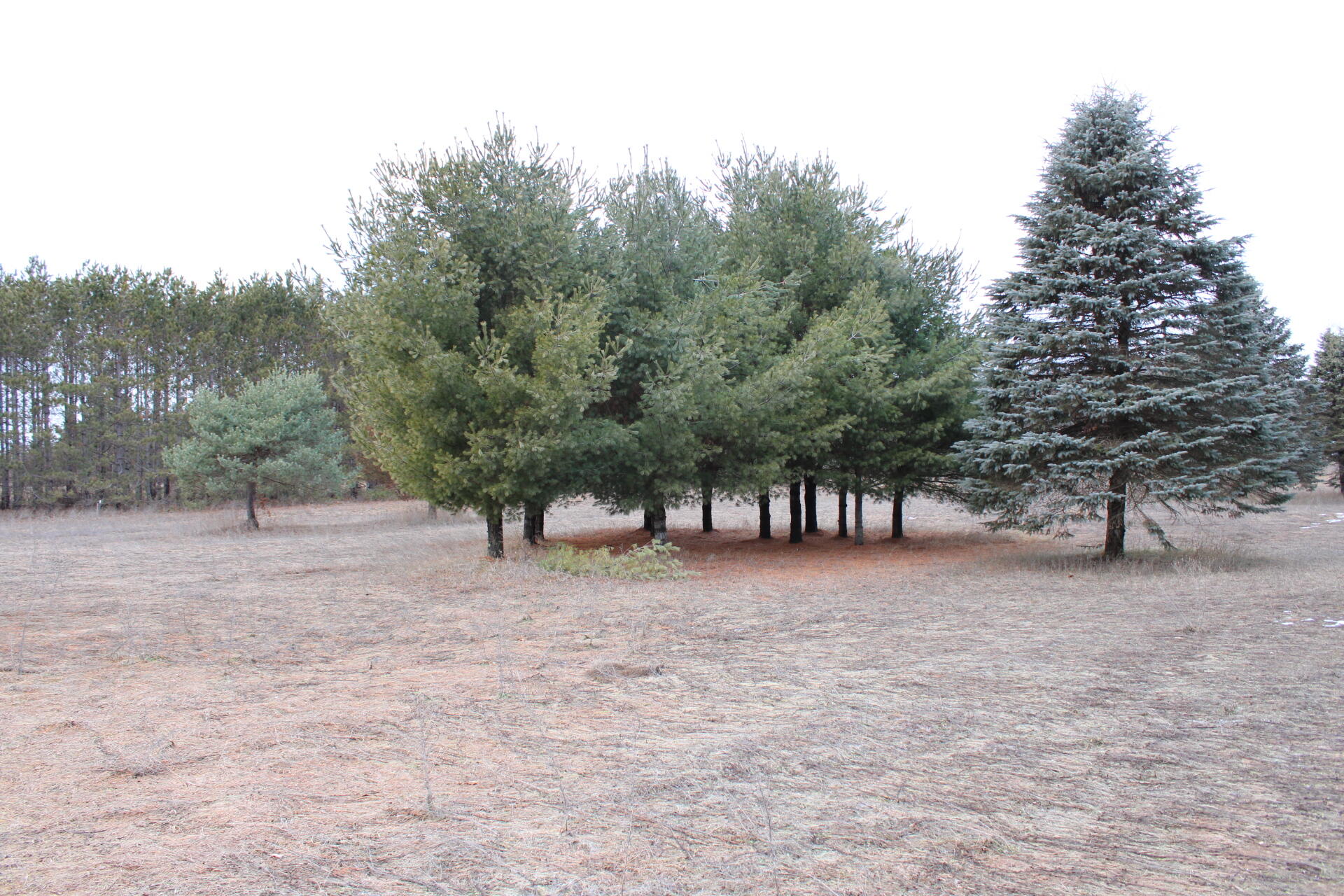 8422 E-M 20 Hesperia, MI 49421 - Photo 6 of 30 IMG_5199