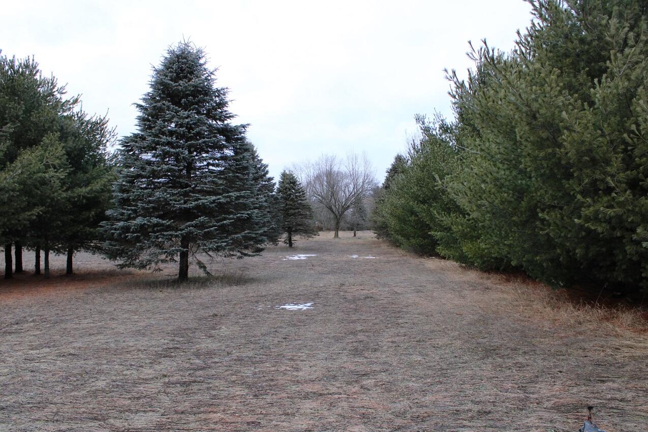 8422 E-M 20 Hesperia, MI 49421 - Photo 7 of 30 IMG_5198