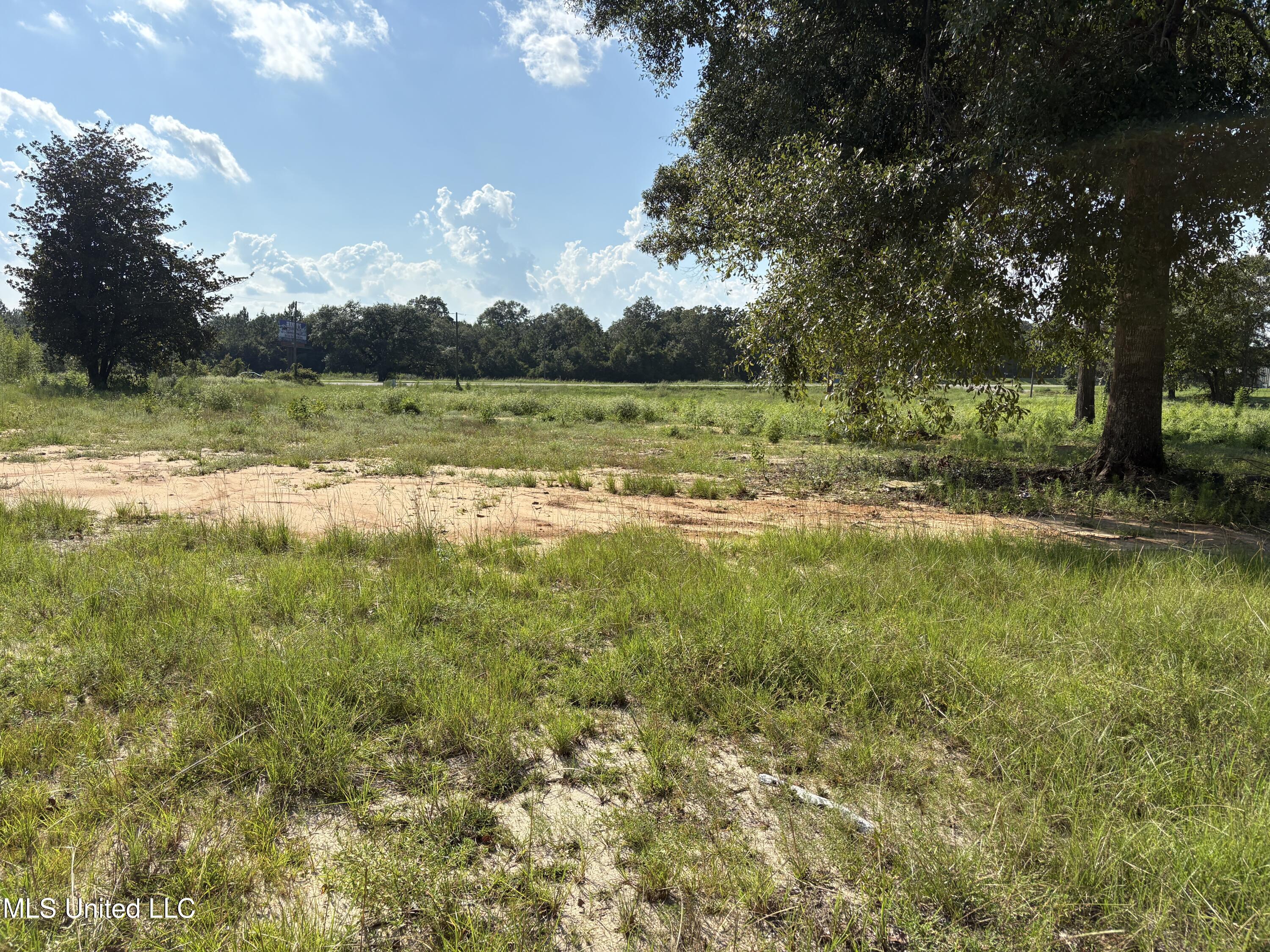 49 Us McHenry, MS 39561 - Photo 2 of 5 IMG_2013