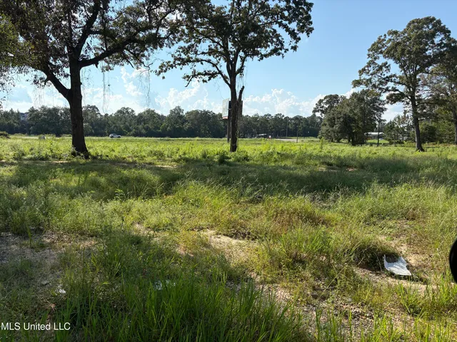 $399,900 | 49 Us, McHenry, MS 39561