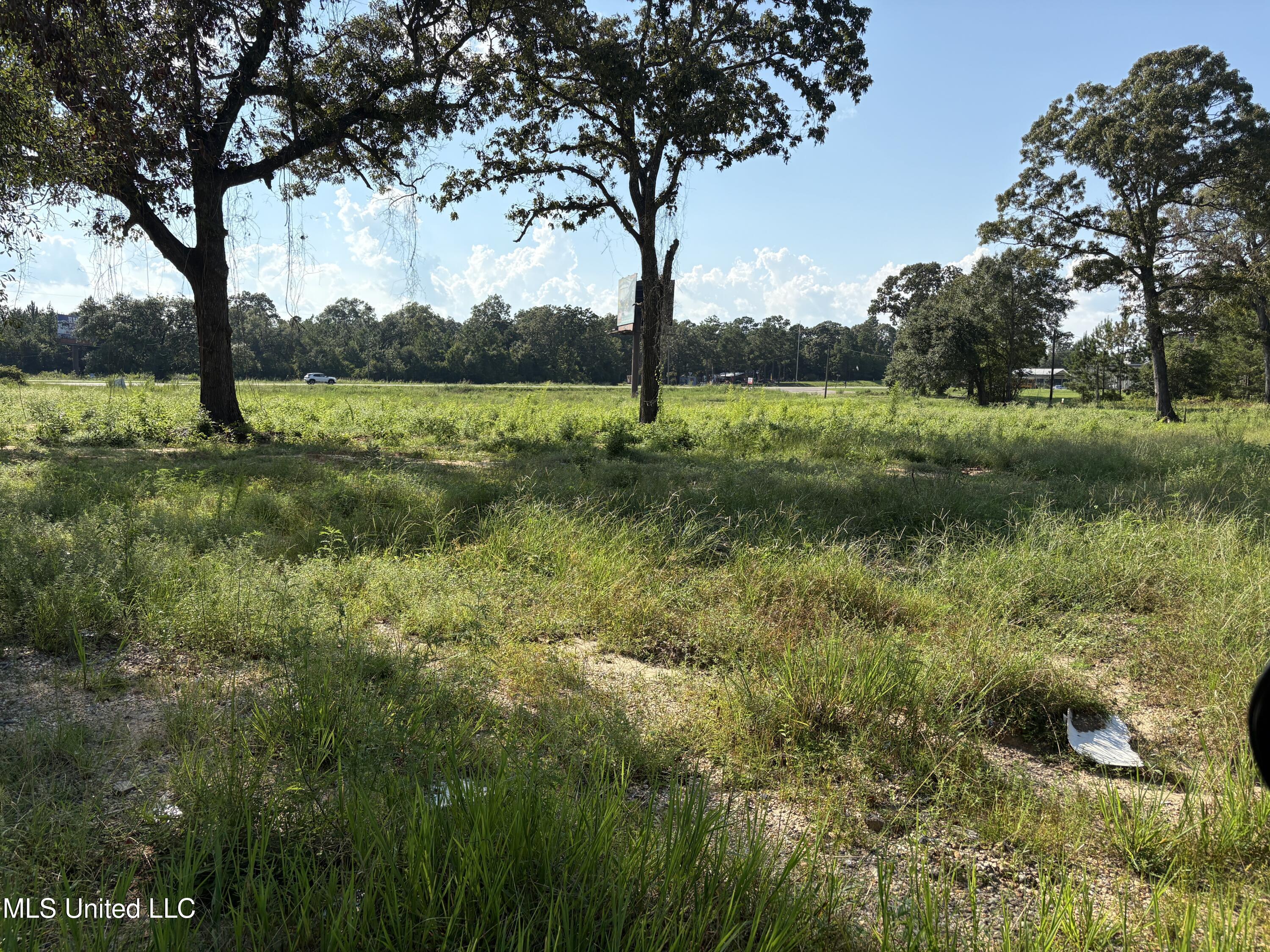 49 Us McHenry, MS 39561 - Photo 3 of 5 IMG_2014