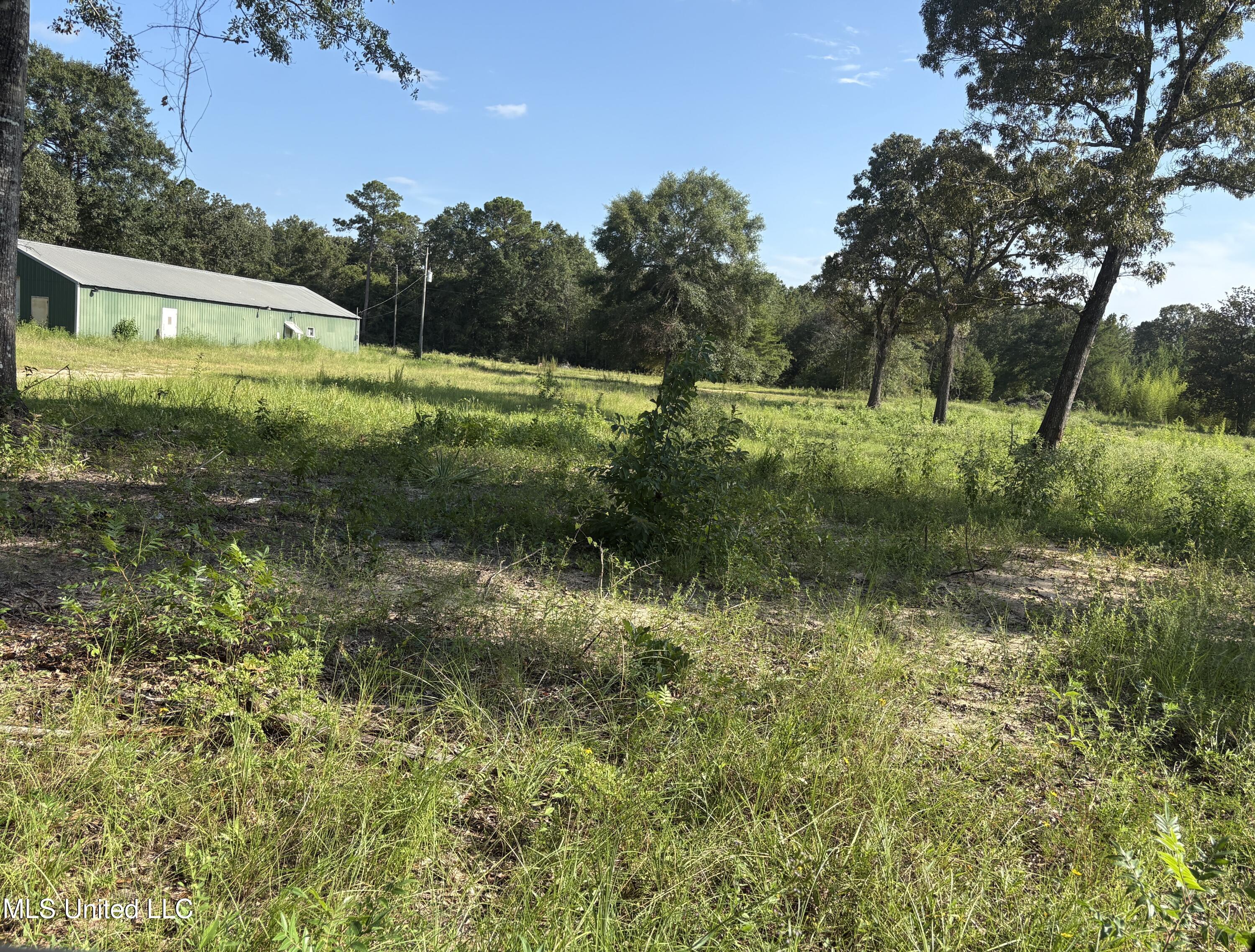 49 Us McHenry, MS 39561 - Photo 5 of 5 IMG_2010