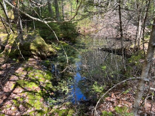 0 Map B Haven Wesley, ME 04686 - Photo 5 of 11 IMG_0014