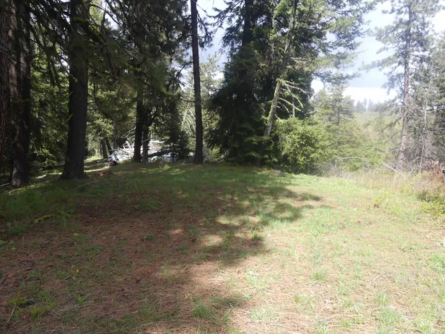 $200,000 | 2 Hansen Ridge Road, Anatone, WA 99401