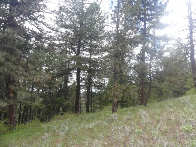 $200,000 | 2 Hansen Ridge Road, Anatone, WA 99401