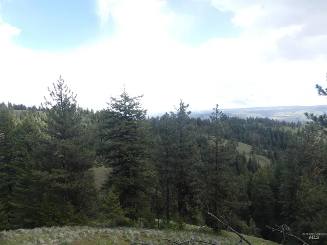 $200,000 | 2 Hansen Ridge Road, Anatone, WA 99401