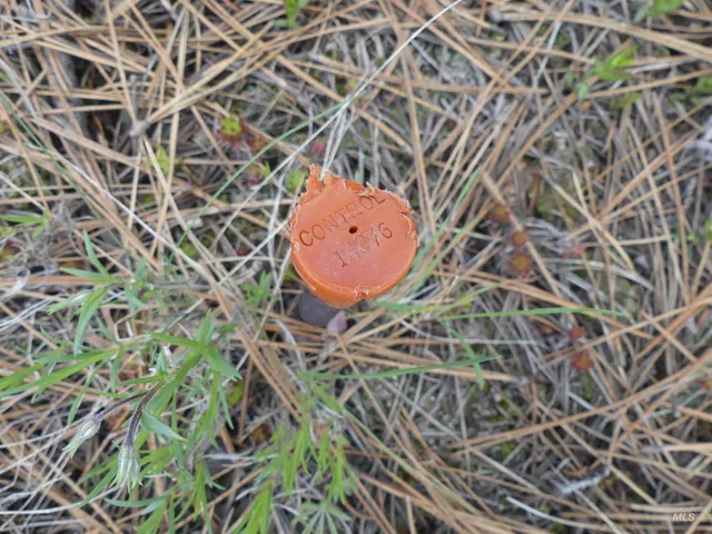 $200,000 | 2 Hansen Ridge Road, Anatone, WA 99401