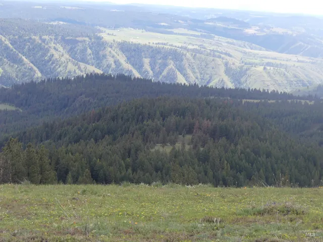 $200,000 | 2 Hansen Ridge Road, Anatone, WA 99401