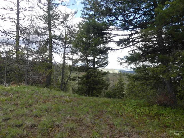 $200,000 | 2 Hansen Ridge Road, Anatone, WA 99401