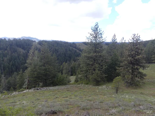 $200,000 | 2 Hansen Ridge Road, Anatone, WA 99401