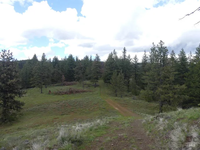 $200,000 | 2 Hansen Ridge Road, Anatone, WA 99401