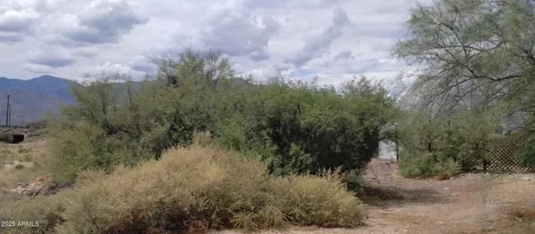 $8,500 | 0 South Branding Iron Road, Unit 38, Safford, AZ 85546