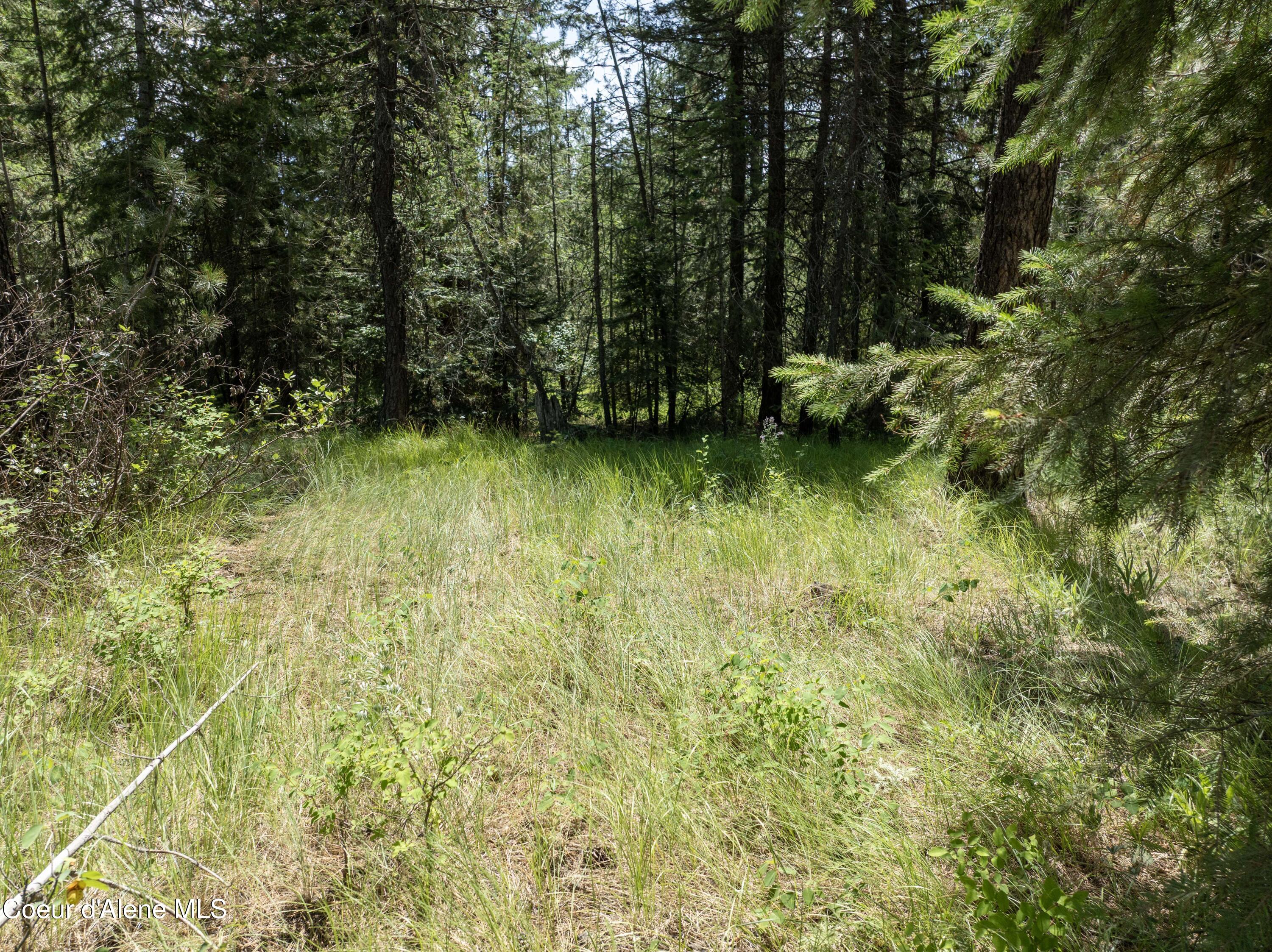 Blk1-lot3 West Grayeagle Road Rathdrum, ID 83858 - Photo 18 of 21 DJI_0208 copy